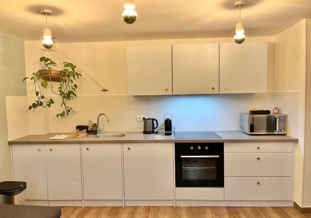 Appartement 2P Strasbourg Centre Eksteriør billede